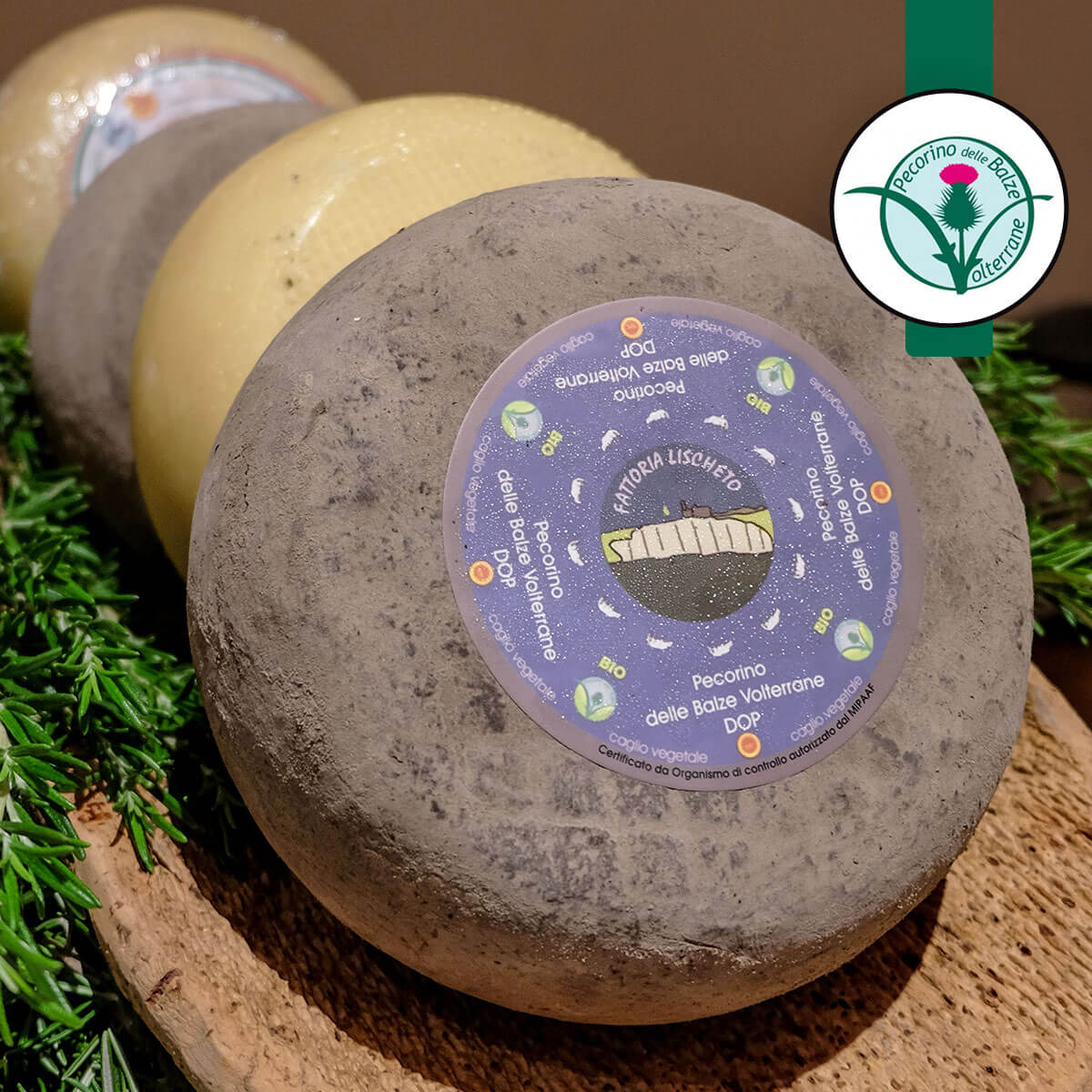 Pecorino delle Balze Volterrane DOP