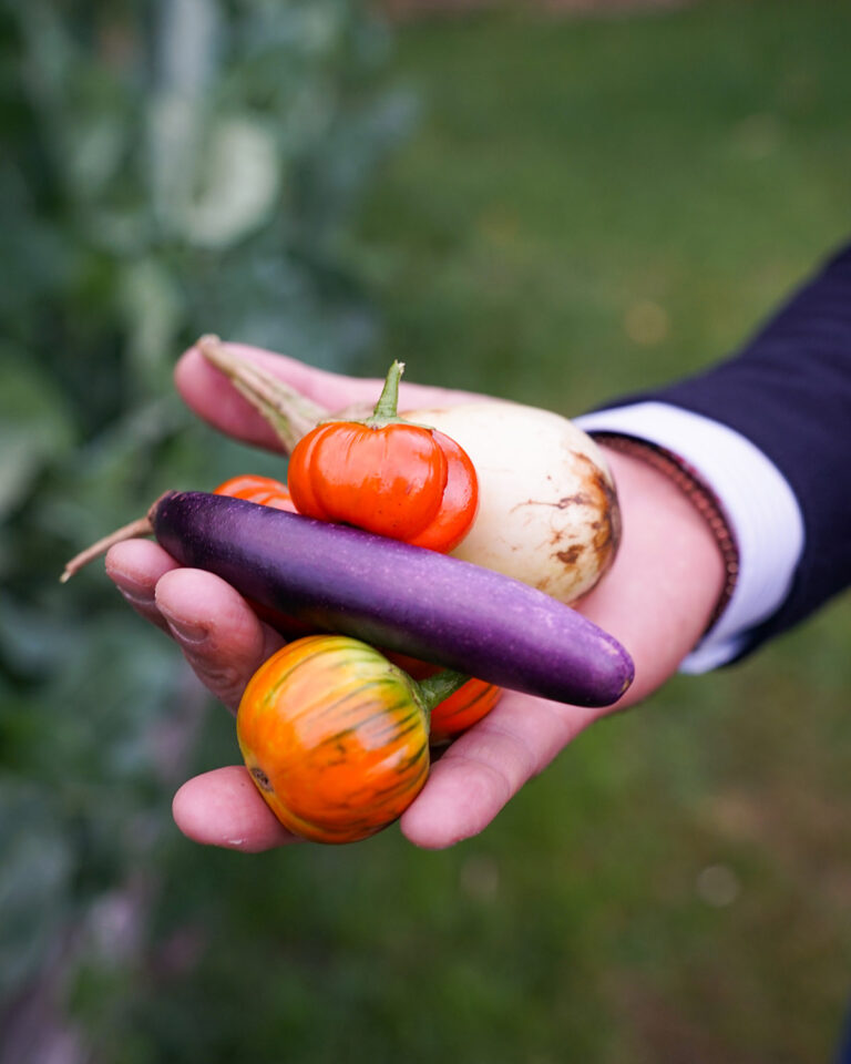 Buy Food Toscana 2025_Press Tour_Giorno 1_ph beatricecambioni-55