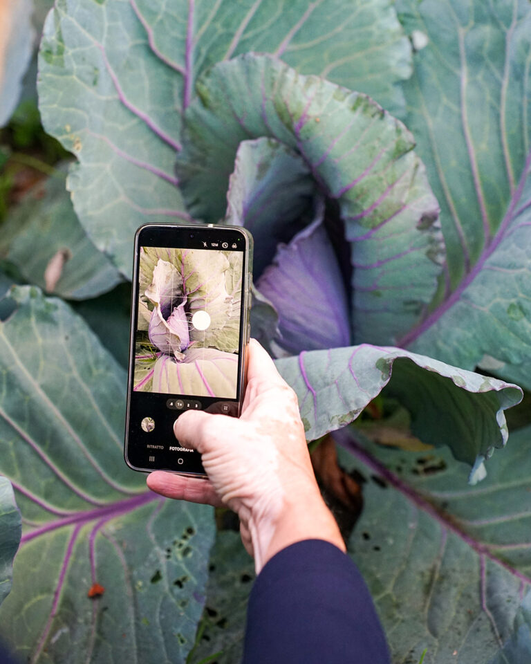 Buy Food Toscana 2025_Press Tour_Giorno 1_ph beatricecambioni-58