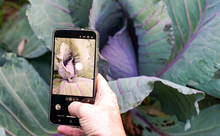 Buy Food Toscana 2025_Press Tour_Giorno 1_ph beatricecambioni-58b