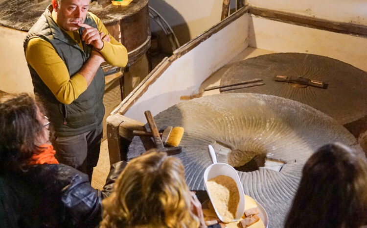 Buy Food Toscana 2025_Press Tour_Giorno 2_ph beatricecambioni-16b