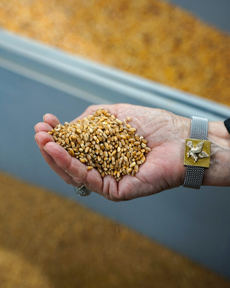 Buy Food Toscana 2025_Press Tour_Giorno 2_ph beatricecambioni-47